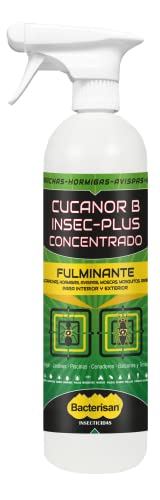 BACTERISAN Insec Plus Concentrado Ml | Insecticida Fulminante Frente A Hormigas E Insectos Voladores, Transparente, 500 ml Cover