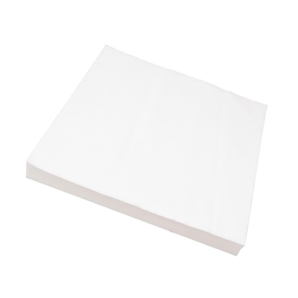 Papel de Revestimiento Absorbente de 100 Piezas para pájaros, Papel de Jaula de pájaro Papel desechable Absorbente cojín Almohadilla de Mascotas no Tejidas Accesorios de Jaula