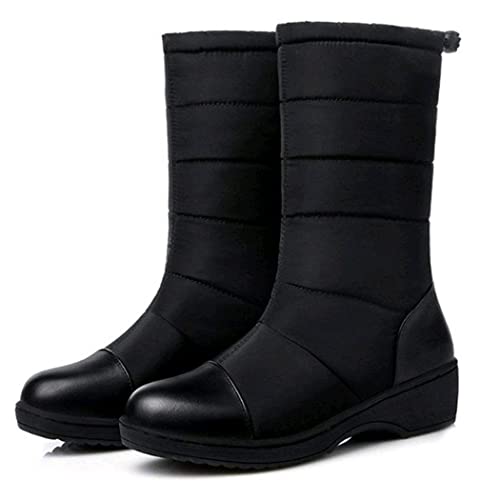 [Moli&Hani] [Amazonuh] Xm[u[c Xm[V[Y ~p u[c fB[X ȌC C h h ےg N  ~ ubN