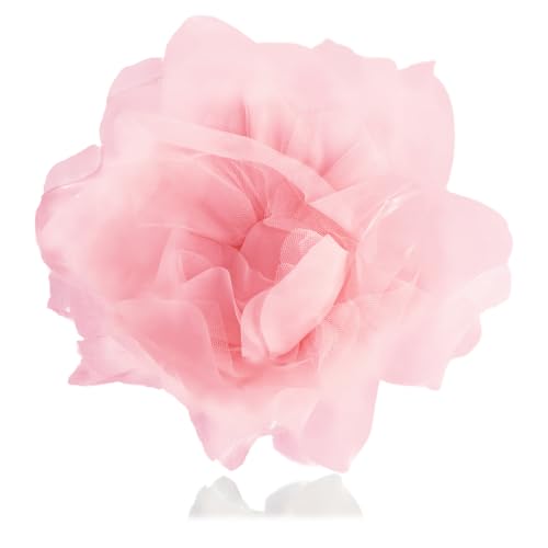 10C` ֒ꂽ傫ȃỏԂ̃u[`ƃs iȑ傫ȃI[KUTen t[u[`s y t@bV  hX ANZT[ WG[ v ʕ p, M, , ΂Ȃ