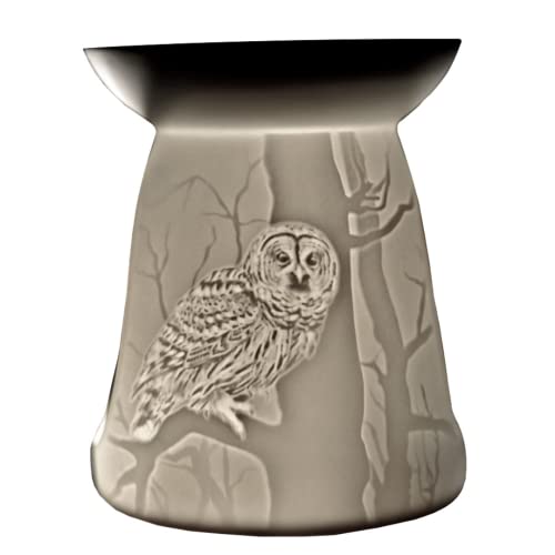 Cello Tealight Wax Melt & Oil Burner, Nocturnal, Stunning porcelain designs safe for use around children and pets. Use wax or oil in the top. Owl Gifts For Women.