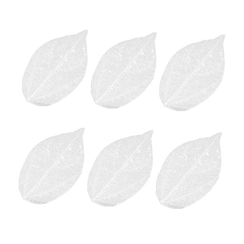 6 Pack de Hojas Secas Naturales para Manualidades miniatura 1