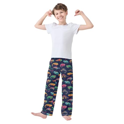 Ethnic Chameleon Boys Long Pants Soft Trousers Elastic Waist Kids Lounge Bottoms with Pockets S-XL2