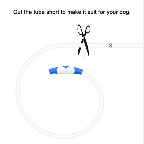 CCWW LED Leuchthalsband für Hunde USB Aufladbar LED Hundehalsband Stück hundehalsband Leuchtend Wiederaufladbares und Längenverstellbareres mit DREI Beleuchtungsmodi für Hunde und Katzen