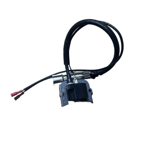 Bobine d'allumage 13000 LC196F pour réparer un moteur qui cale