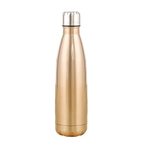 Kingnew Aislado Acero Inoxidable Agua Termo Botella de vacío para Correr, Gym, Yoga, Ciclismo, Senderismo, Yoga, Exterior Y Camping, Auto (Champán Oro, 500u00a0ML)