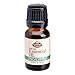Eucalyptus Pure Essential Oil Therapeutic Grade - 10 ml