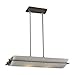 PLC Lighting 21068 SN Pendant from Enzo Collection