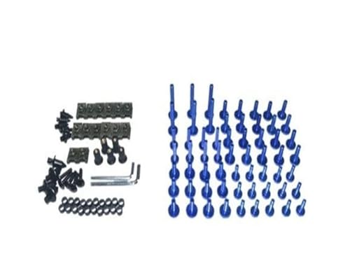 tgKXh{g p q[X GT250R 2006-2010 {fB[NlW I[goCpRv[gtFAO{gLbg(Silver)