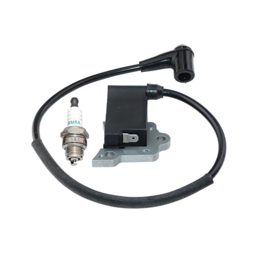 Bobine d'allumage EB802 solution pour démarrage difficile - 6