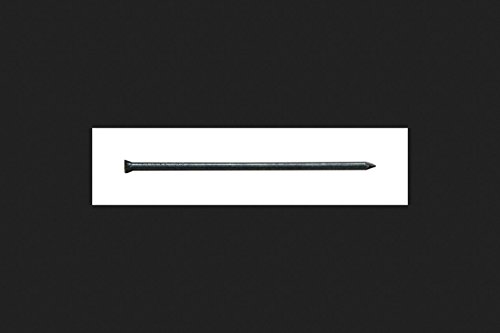 Pro-Fit 2 in. L Trim Black Finish Nail 1 lb.