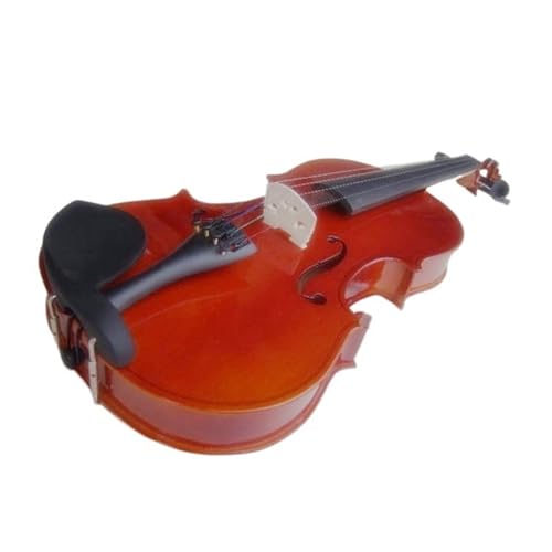 SҗpoCI 3/4oCI \bhEbh vdl Xv[Xgbv [vTCh(3/4)