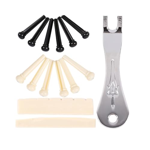 TISHITA M^[XgOyOc[LbgpIȃMtg1̃M^[ibgȒPɎt