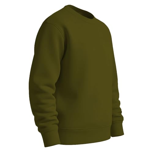 Image of THE BLAZZE Women's Fleece Stretchable Full Sleeves Sweatshirt Regular Fit Round Neck Casual Winterwear for Girls and Womens VBW5