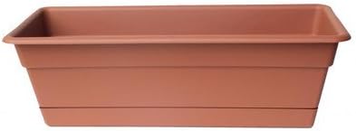 Bloem Rectangular Window Box Size: 5.8" H x 18" W x 7.6" D, Color: Terra Cotta