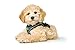 HUNTER Hundegeschirr HILO COMFORT, Farbe: anthrazit, Easy Step-In Geschirr für kleine bis mittlere Hunde, mit Netzmaterial, reflektierende Elemente, angenehm leicht, modernes Design, Größe: M-L