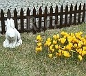 Gartenzaun Zaun Zierzaun Friesenzaun Lattenzaun 3,20m Robuster Gartenzaun Steckzaun (7 Elemente) Beeteinfassung 3 Farben von rg-vertrieb (Braun)