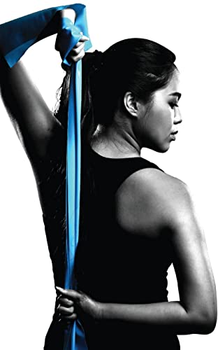 3RedLightFix Pair of 50LB Aftermarket (Non-OEM) Replacement Resistance Bands for Soloflex Muscle Machine + Microfiber Cleaning Cloth Kit