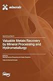Valuable Metals Recovery by Mineral Processing and Hydrometallurgy