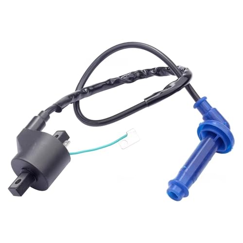 Bobine d'allumage moto compatible 30500-HP1-003 pour pièces détachées Sportrax 450