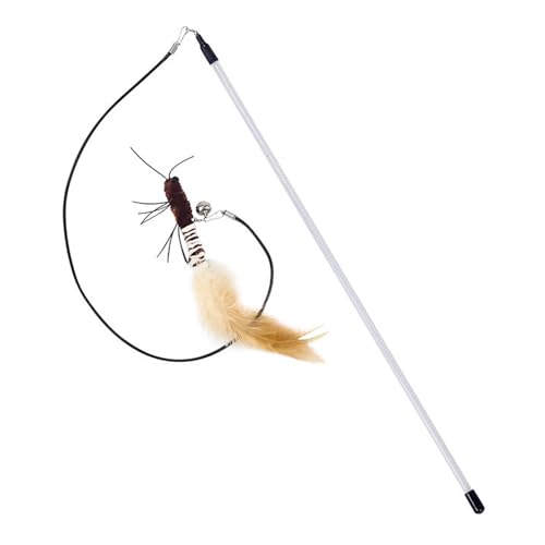 ߉\ȔL̒ނ ʔL̂ eB[U[XeBbN ߉\Ȓ̃XeBbN ȃlRȓ y݂ƃGQ[Wg ͓IȎqL̃vC^C