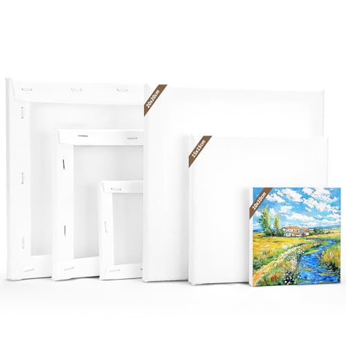 LUOJINYI Set di 6 tele da dipingere (20 x 20, 15 x 15, 10 x 10 cm, 2 pezzi) di tele, in cotone, per pittura a olio, per principianti