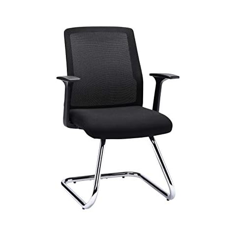 Office Hippo Ergonomic Desk Chair with Mesh Back Cover
