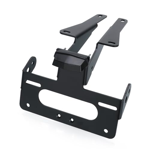 Support de plaque Triumph Speed Triple 1200 pour supprimer la bavette