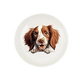 UanMere Bandeja de joyería plato personalizado para anillos de perro para llaves pendientes pulsera anillo blanco cuenco divertido lindo perro ladrón pequeño plato de joyería Compromiso Día de la