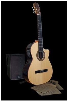 Admira Sombra - Guitarra electroac?stica (cutaway) : Amazon.es:  Instrumentos musicales