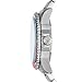 Emporio Armani Men's GMT Dual Time Silver Stainless Steel Bracelet Watch (Model: AR11590)