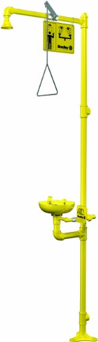 Bradley S19-310 Combination Shower Eyewash Station