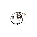 ElectroSport Stator for 92-03 Honda XR100