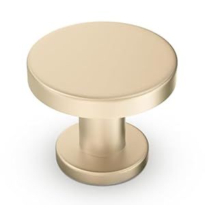 10 Pack Cabinet Knobs Brushed Brass Kitchen Cabinet Knobs Zinc Alloy Drawer Pulls Solid Cabinet Hardware