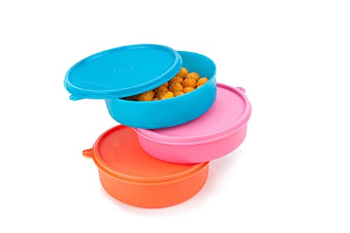 Signoraware New Classic Round Small Lunch Box Set, 550Ml, Set Of 3 Multicolour