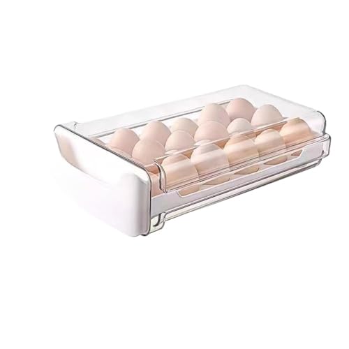 Sailozai ①Ɏ[oA36{pPi/d󂯁ALb`[P[X (zCg,Pi)