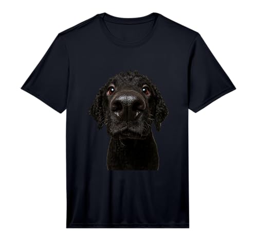 Mens Curly Coated Retriever Performance T-Shirt