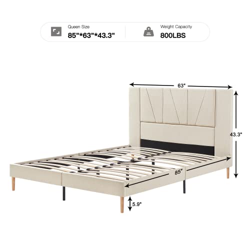 Queen Size, Home Imagen adicional