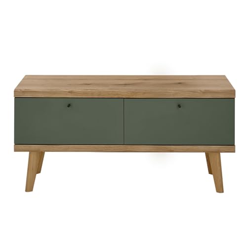 Lomadox Wohnzimmer TV-Lowboard TV-Schrank, 107cm, in Eiche mit grün Modern