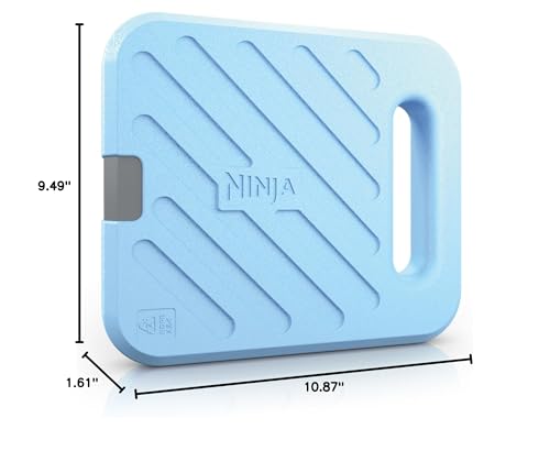 Image of Ninja FrostVault 4.8lb. Ice Pack, Reusable, Refreezable Ice Block