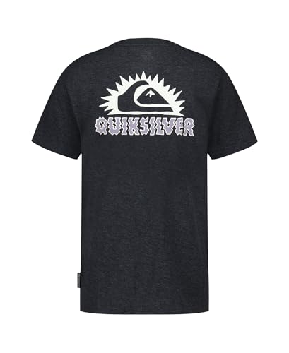 Image of Quiksilver Boys' Short Sleeve Logo Graphic T-Shirt, Soft & Comfortable, Regular Fit