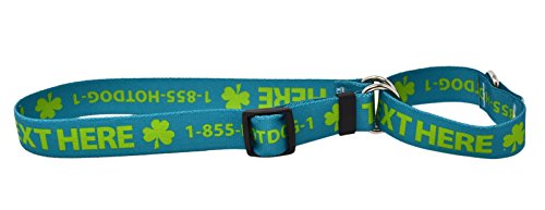 Custom Personalized Martingale Dog Collar, Teal, Small #TOP11