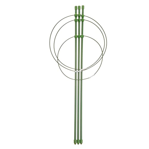 BAZEITFLOW Kletterhilfe Für Gemüse Und Blumen Stabiler Eisen-rankhilfe Für Tomaten Paprika Und Auberginen Rostfrei Einfache Langlebig Mit Grünem Kunststoffüberzug