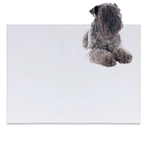 Lifetips P[u[EeA gC}`FX^[eA ybggC}bg VR h ~ 􂦂  L V[gh~ g[p t[Oی ybggC}bg VR}bg ΍ gCV[gŒ h 