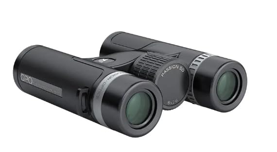 Binoculares GPO Passion SD 10x26, negro y plata miniatura 3