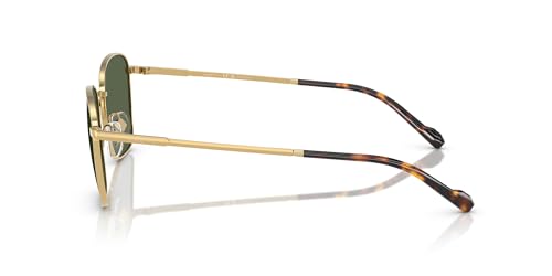 Vogue Eyewear Men's Vo4322s Square Sunglasses3