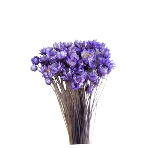 30pcs Mini Flores de Margarita Secas Artificiales miniatura 1