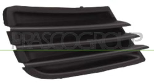 Prasco Pg3242113 - Griglia Di Ventilazione, Paraurti