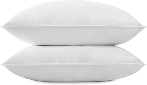 Casabella Goose Feather & Down Pillows 2 Pack (48x74cm)