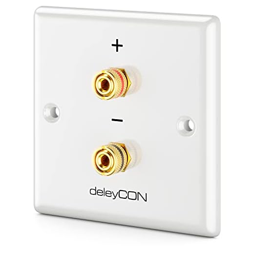 deleyCON Multimedia Lautsprecher Boxen Wanddose Anschlussdose Wandplatte mit Bananenstecker-Buchsen für 1 Lautsprecher (Rot/Schwarz) - Hi-Fi Surround Sound System Heimkino